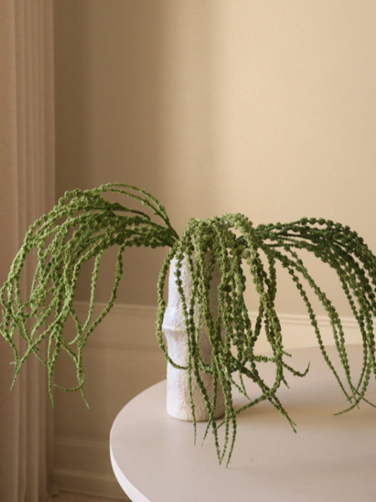 Amaranthus Caudatus "Dreadlocks" Flower | Botane | Catalog Interiors