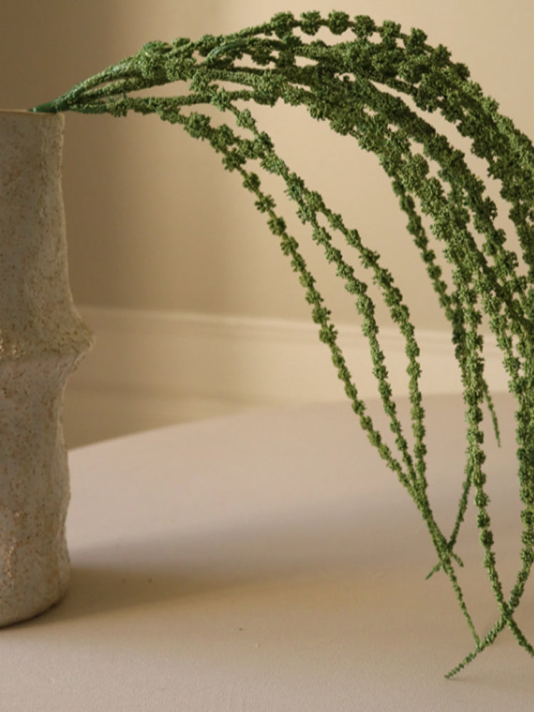 Amaranthus Caudatus "Dreadlocks" Flower | Botane | Catalog Interiors