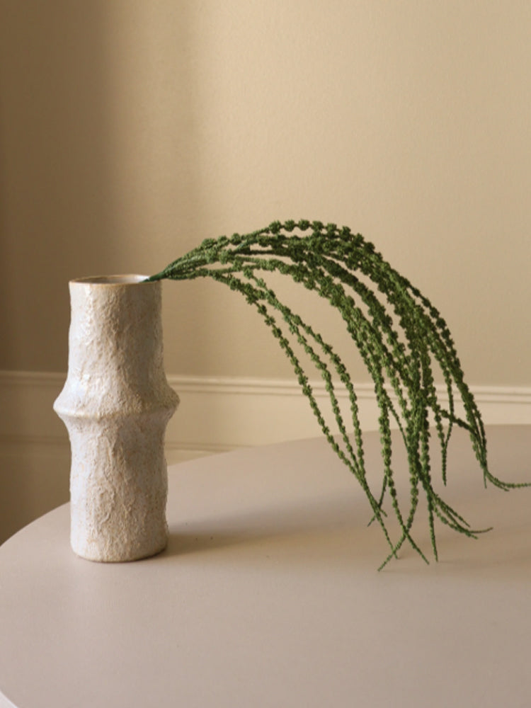 Amaranthus Caudatus "Dreadlocks" Flower | Botane | Catalog Interiors