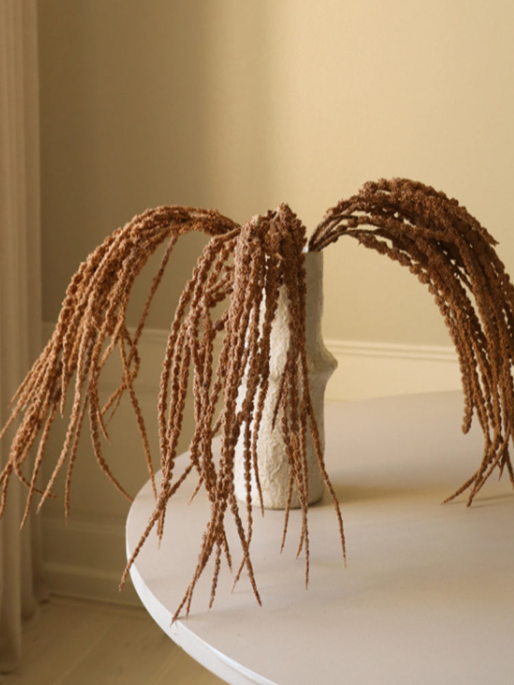 Amaranthus Caudatus "Dreadlocks" Flower | Botane | Catalog Interiors