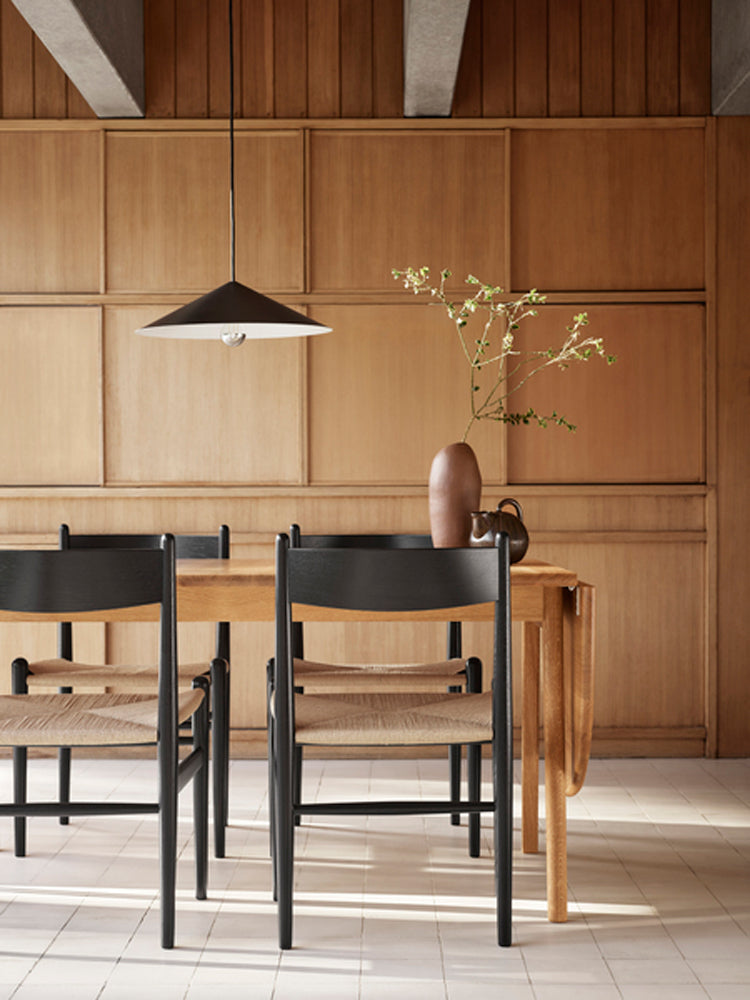 BT1001 Pendant | Carl Hansen & Son | Catalog Interiors