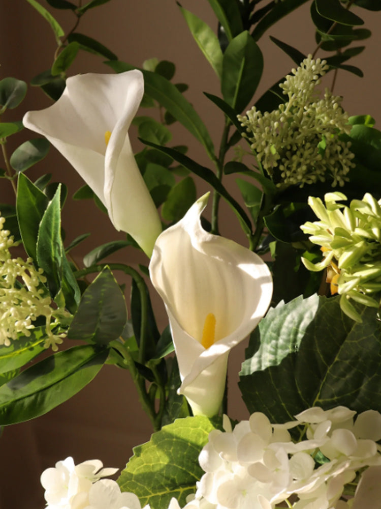 Calla Lily White | Botane | Catalog Interiors