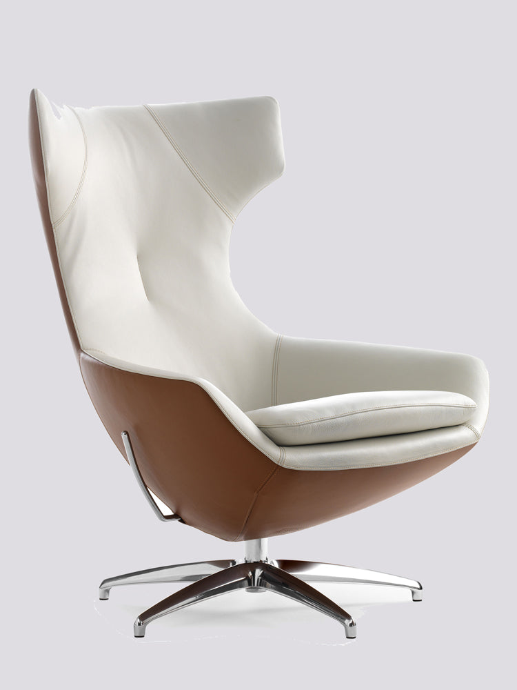 Caruzzo Combi Armchair | Leolux | Catalog Interiors