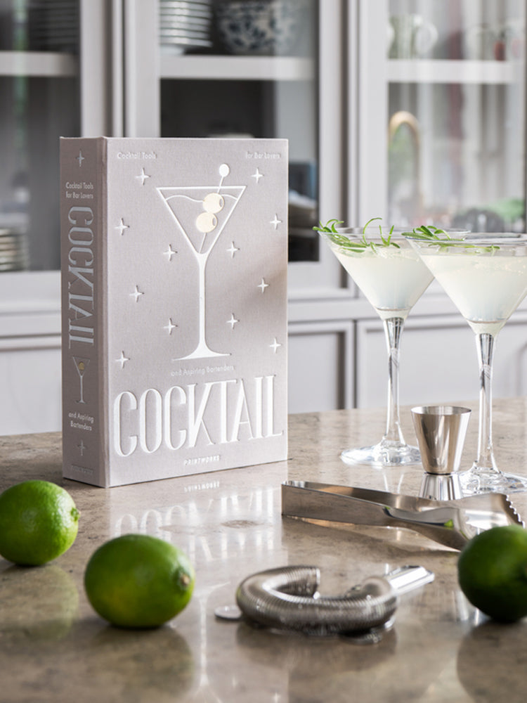 Cocktail Tool Box | Printworks Markets | Catalog Interiors