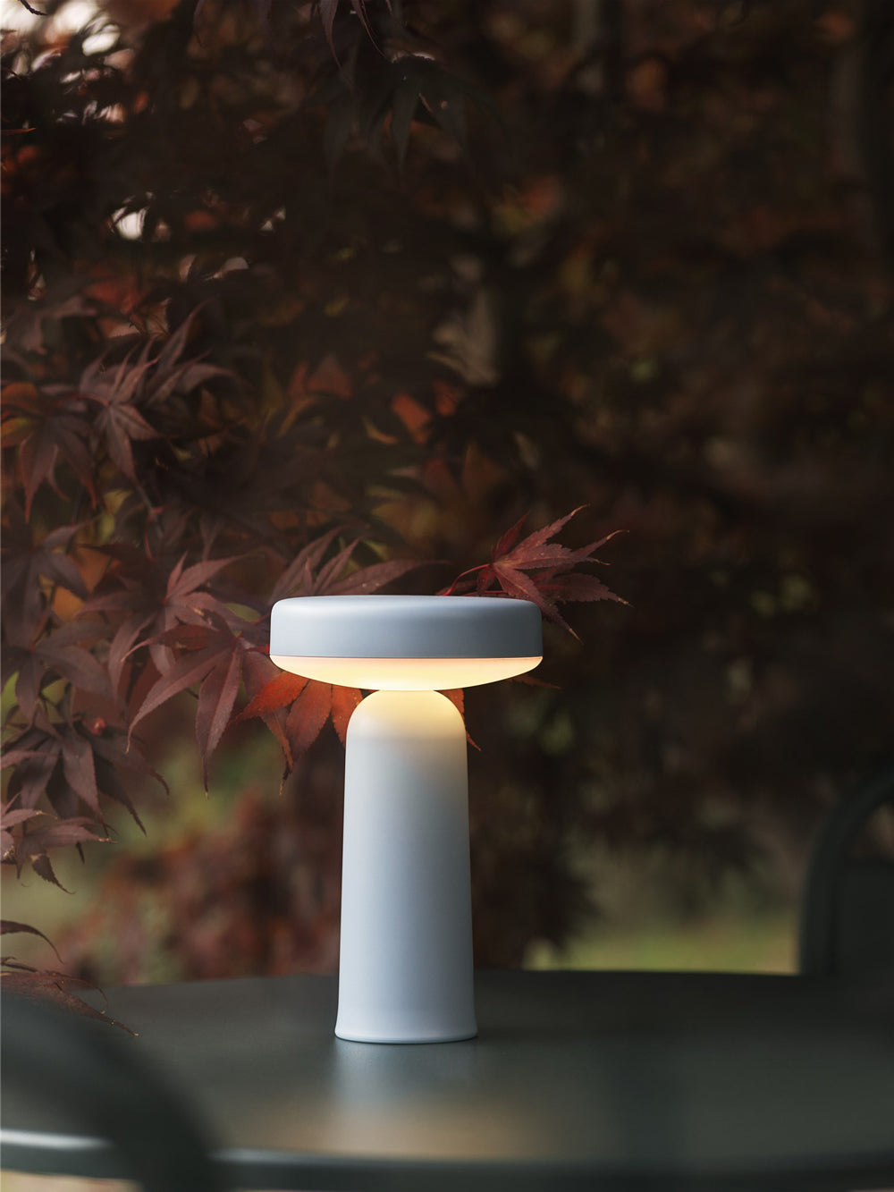 Ease Portable Lamp