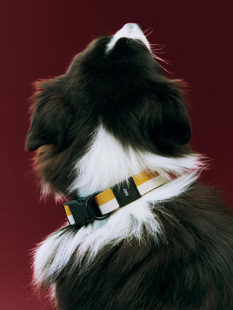 HAY Dogs Collar Flat | Catalog Interiors