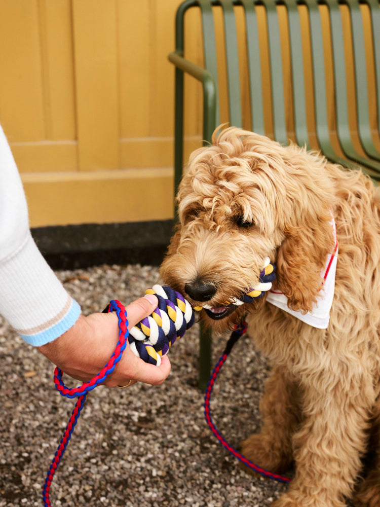 HAY Dogs Rope Toy | Catalog Interiors