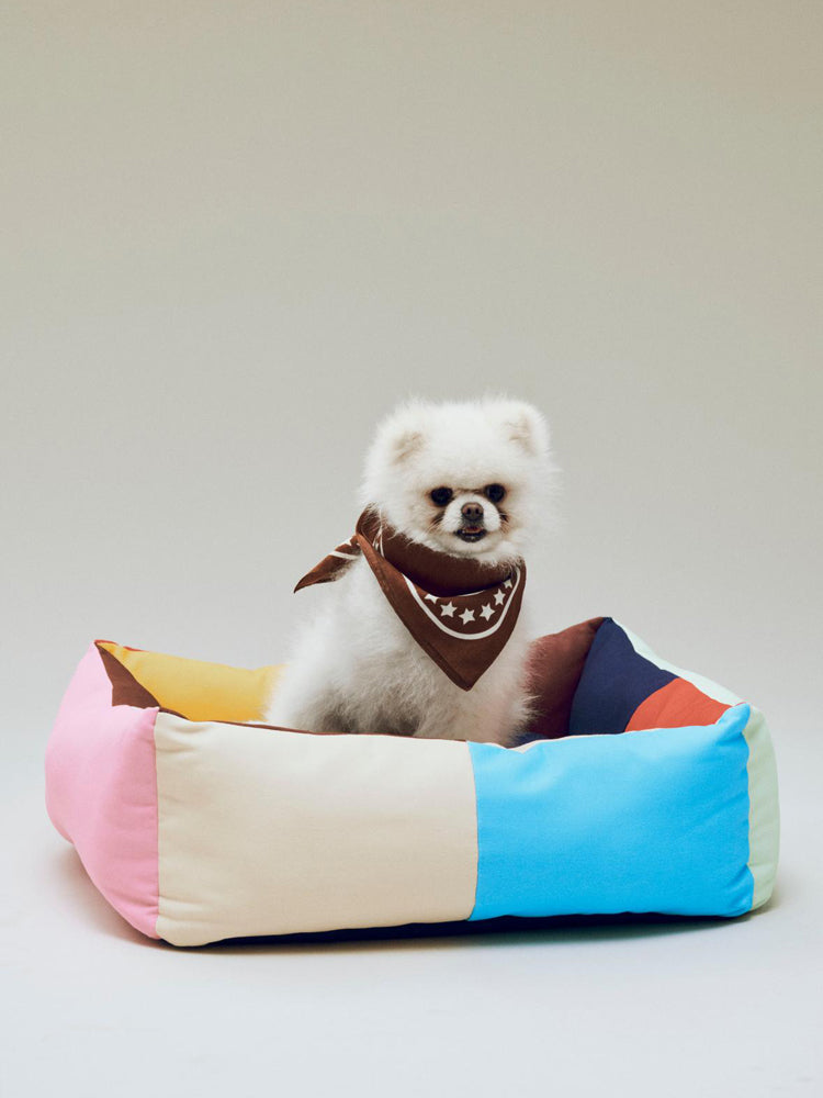 HAY Recycled Dogs Scarf