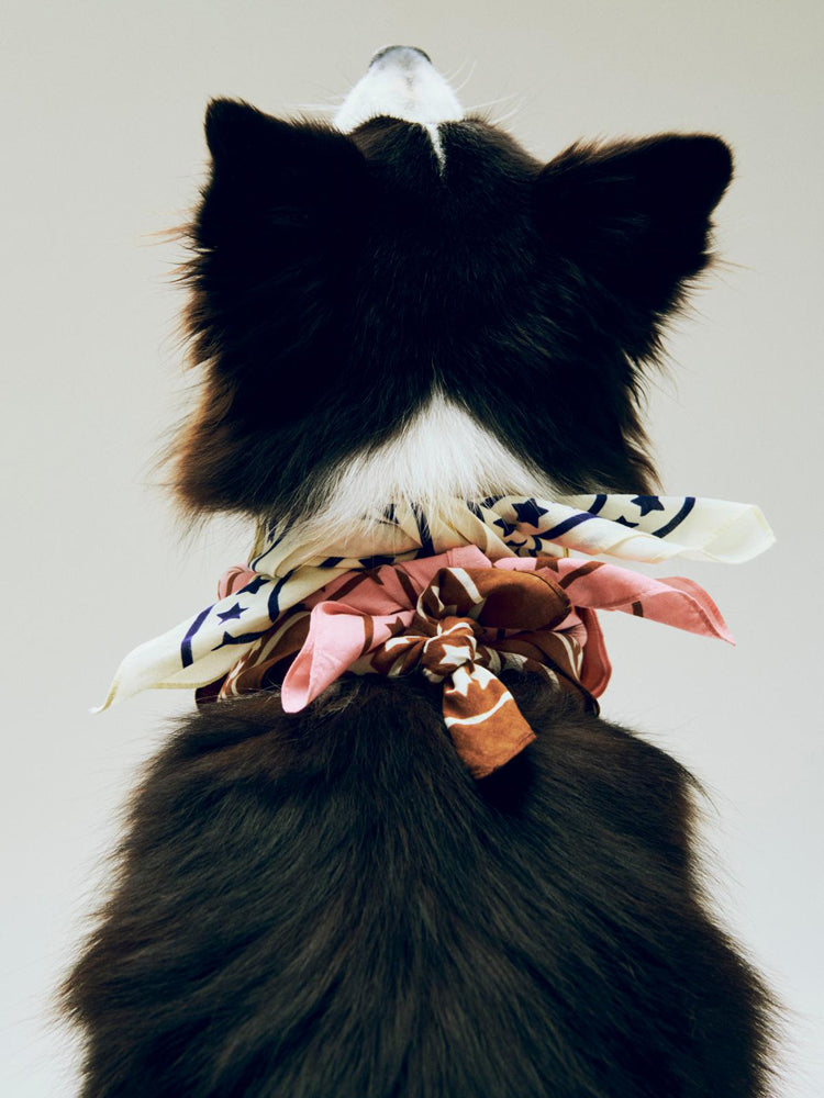 HAY Recycled Dogs Scarf