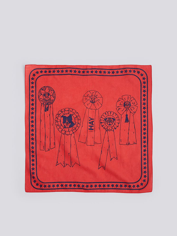 HAY Recycled Dogs Scarf