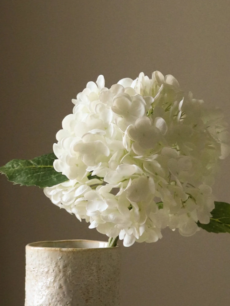 Hydrangea Flower