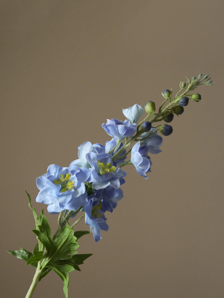 Light Blue Delphinium Flower | Botane | Catalog Interiors