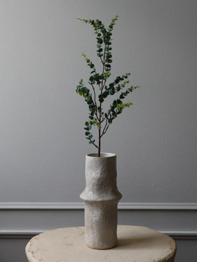 Parvifolia "Gunni" Eucalyptus Leaves | Botane | Catalog Interiors