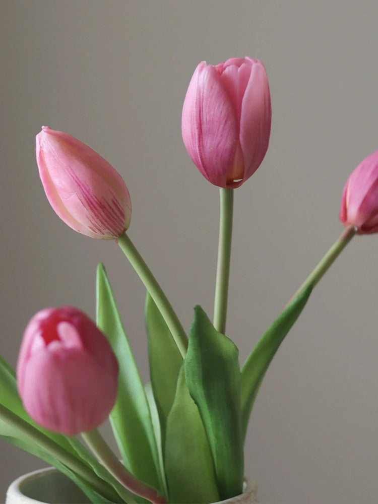Pink Tulip Bundle | Botane | Catalog Interiors UK