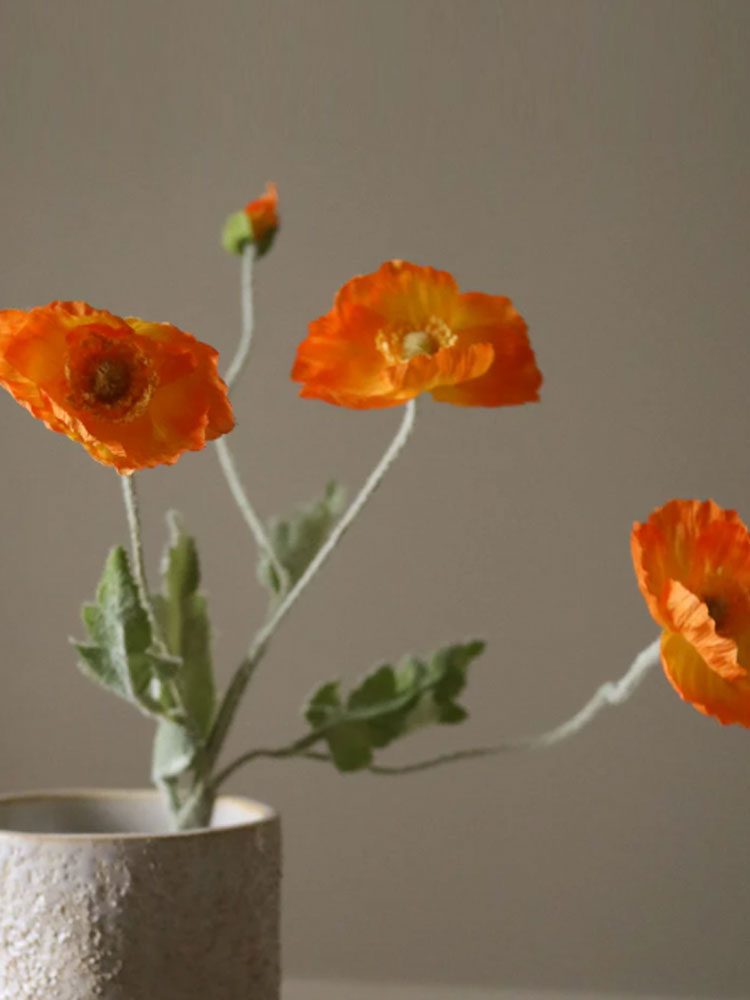 Poppy Flower