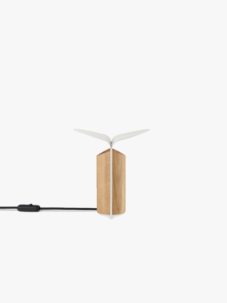 RF200 Petal Lamp | Carl Hansen | Catalog Interiors