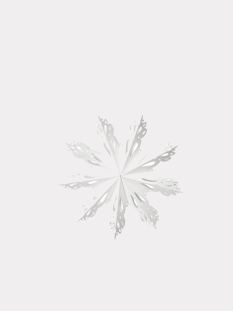 Snowflake Star