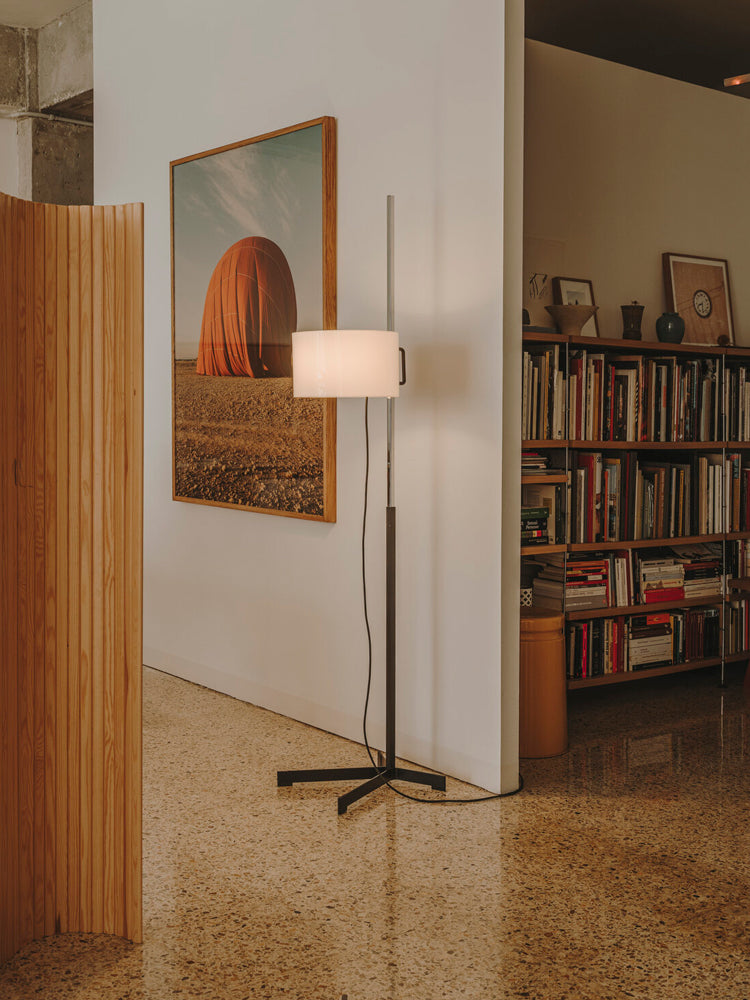 TMC Floor Lamp