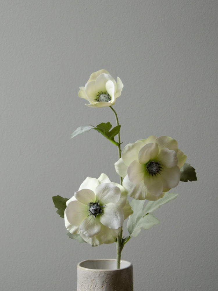 White Anemone Flower | Botane | Catalog Interiors