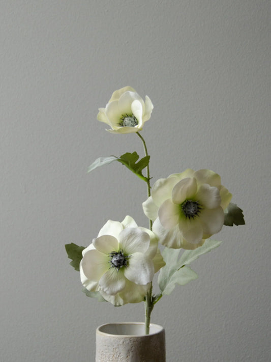 White Anemone Flower | Botane | Catalog Interiors