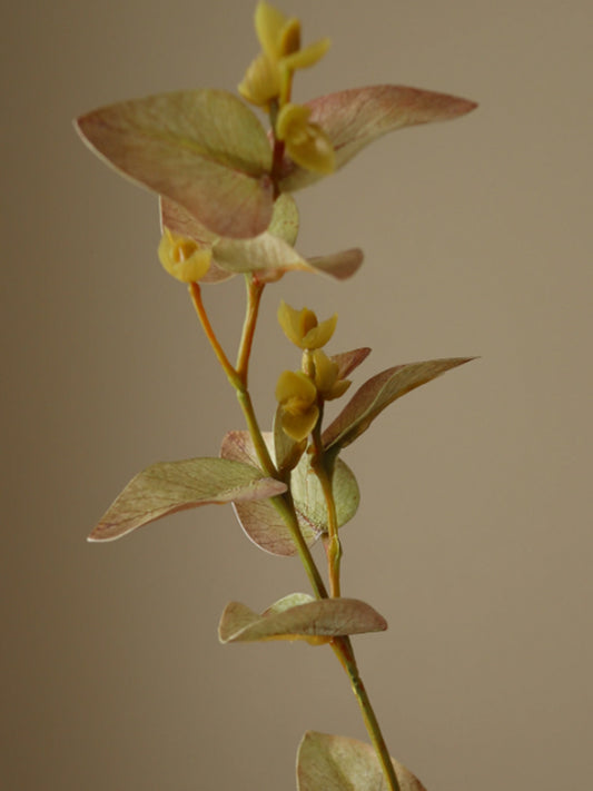 White Eucalyptus Leaves | Botane | Catalog Interiors