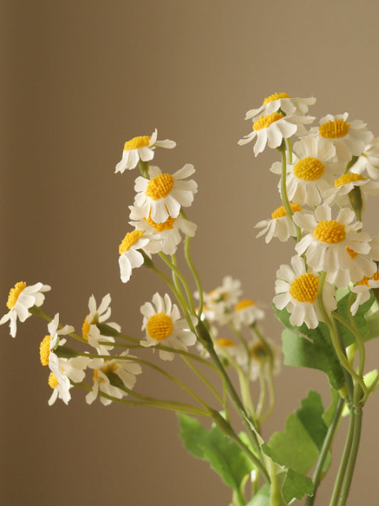 White Small Daisy Flower | Botane | Catalog Interiors