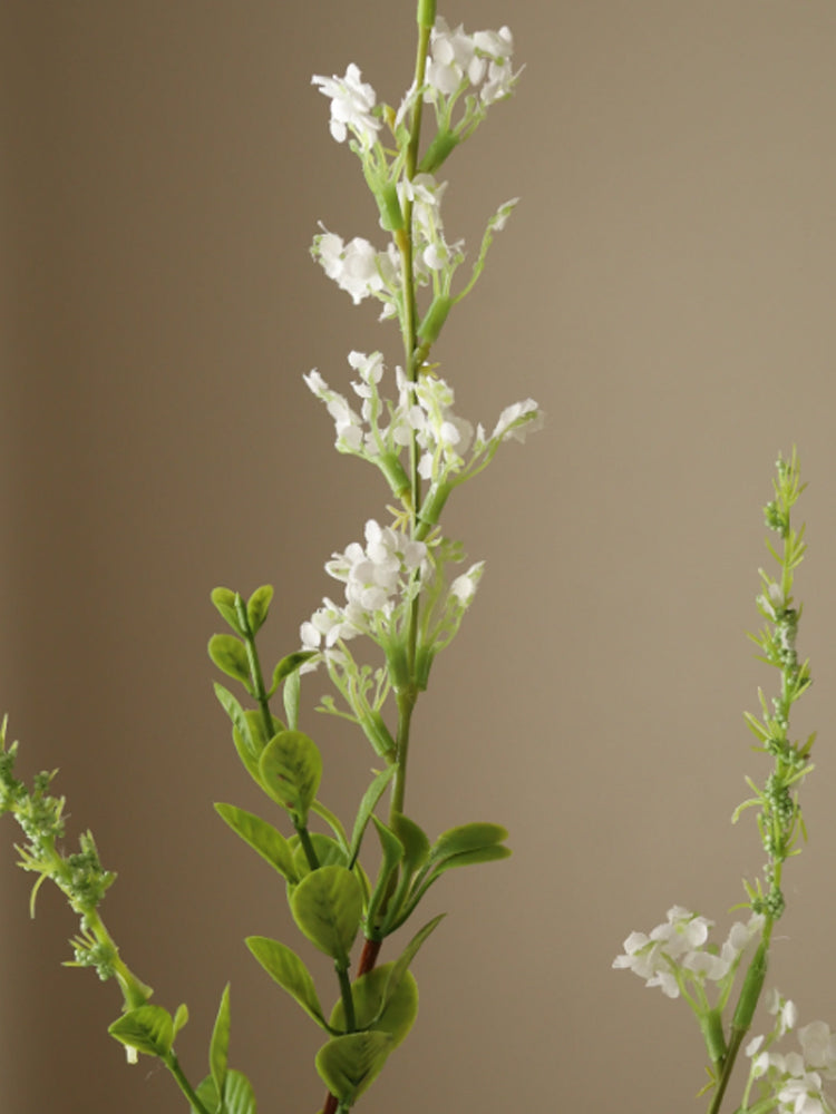 Wild Flower | Botane | Catalog Interiors