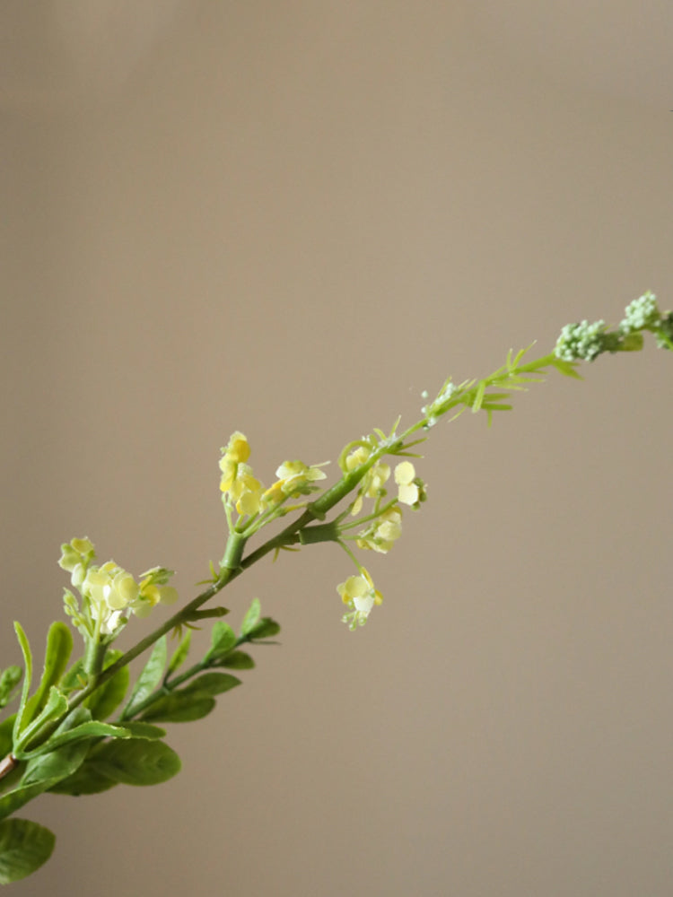 Wild Flower | Botane | Catalog Interiors