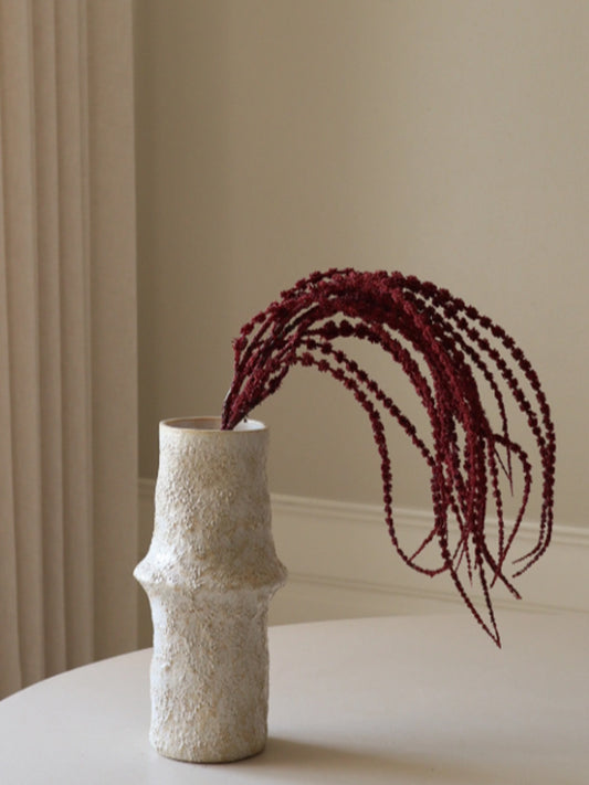 Amaranthus Caudatus "Dreadlocks" Flower