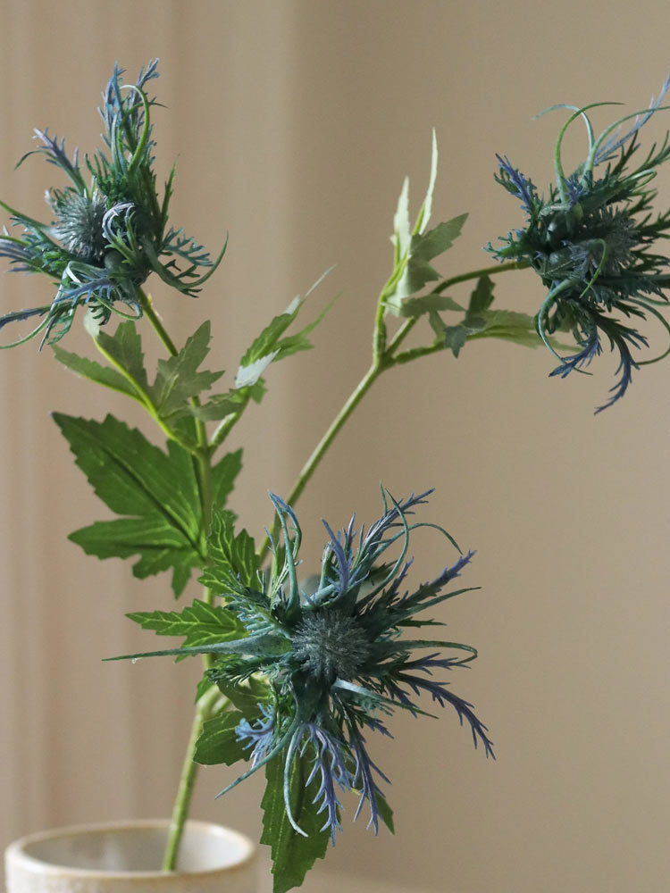 Blue Eryngo "Sea Holly" Flower | Botane | Catalog Interiors UK