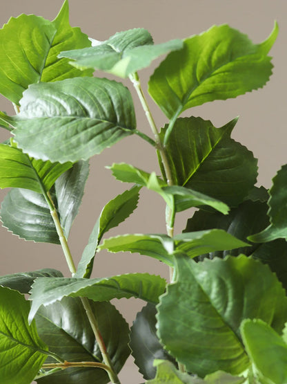 Green Hydrangea Leaves | Botane | Catalog Interiors UK