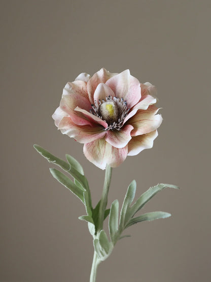 Light Pink Anemone Flower | Botane | Catalog Interiors UK
