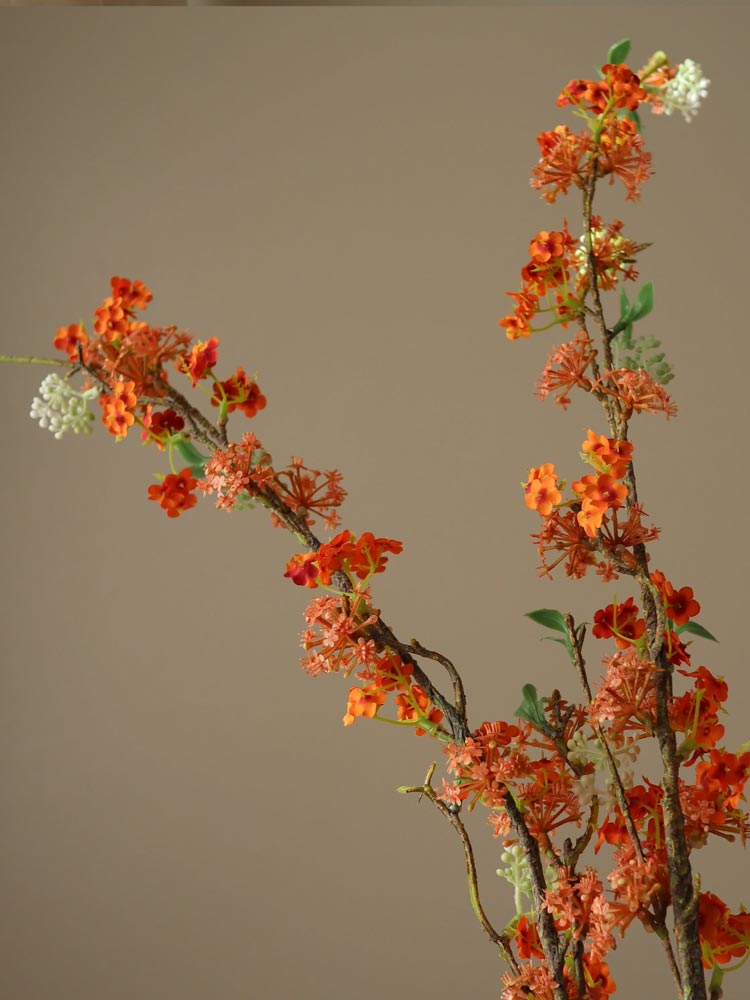 Orange Snow Willow Branch | Botane | Catalog Interiors UK