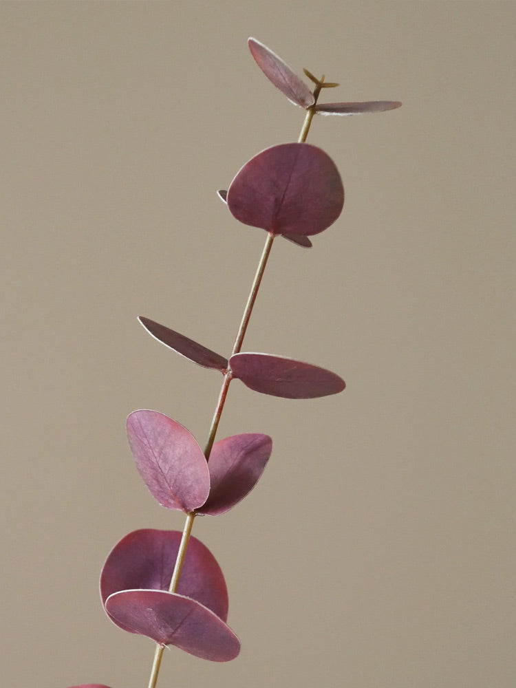 Purple Small Eucalyptus Leaves | Botane | Catalog Interiors UK