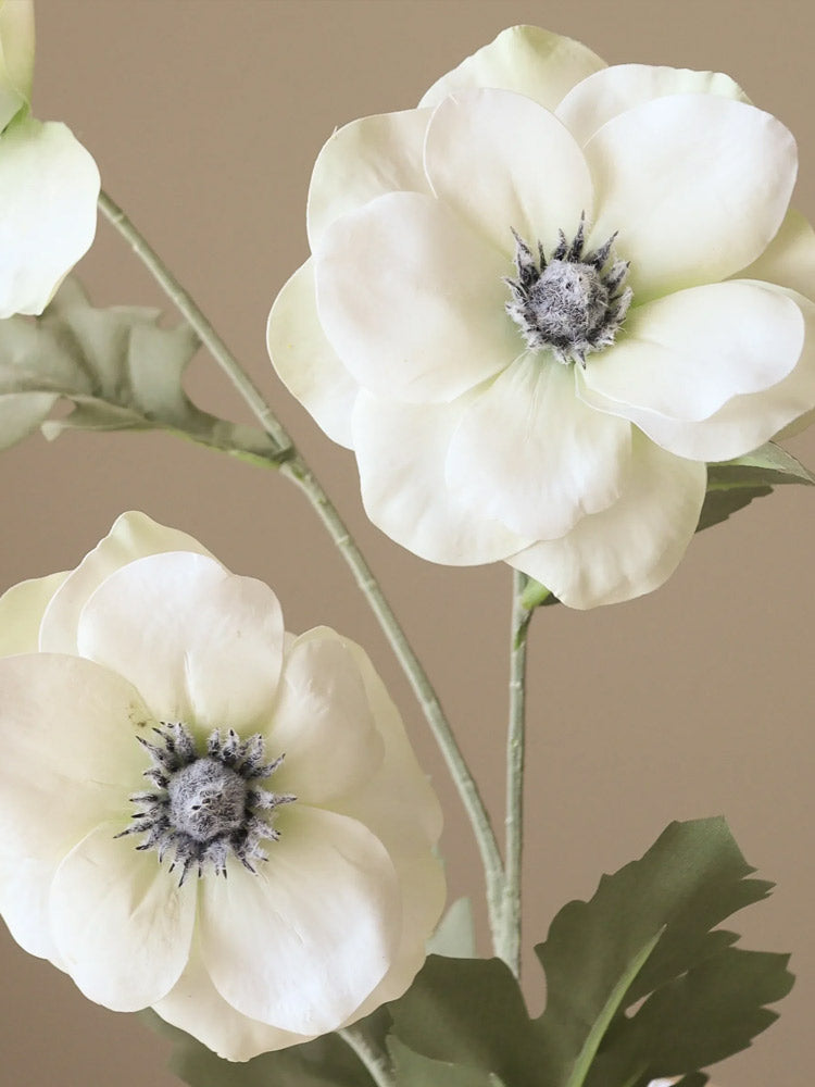 White Anemone Flower | Botane | Catalog Interiors UK