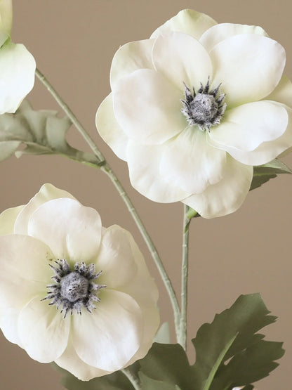 White Anemone Flower | Botane | Catalog Interiors UK