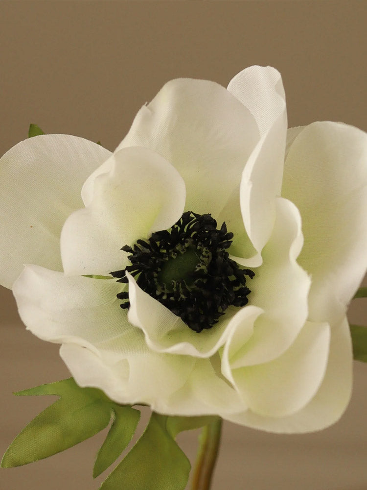 White Anemone Flower | Botane | Catalog Interiors UK