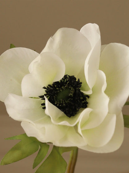 White Anemone Flower | Botane | Catalog Interiors UK
