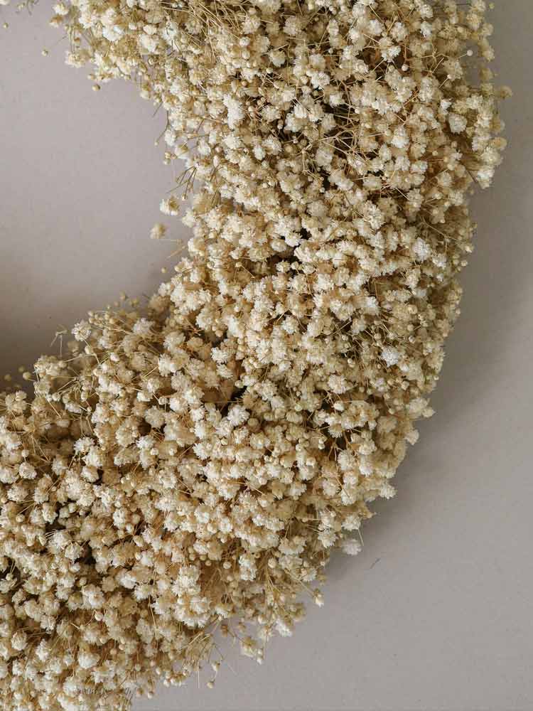 Baby's Breath Wreath | Botane | Catalog Interiors UK