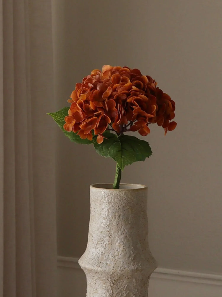 Brown Hydrangea Flower