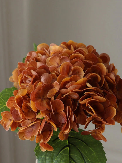 Brown Hydrangea Flower
