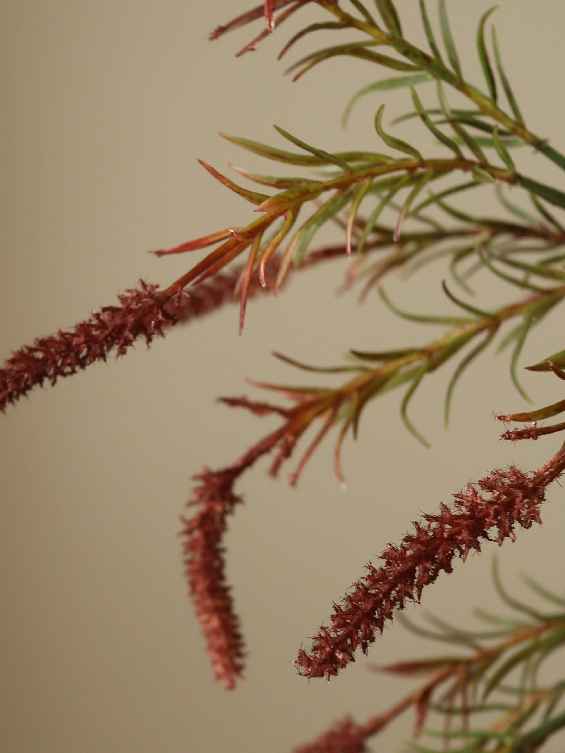 Brown Veronica Branch | Botane | Catalog Interiors 