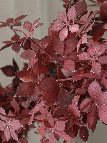 Burgundy Maple Branch | Botane | Catalog Interiors 