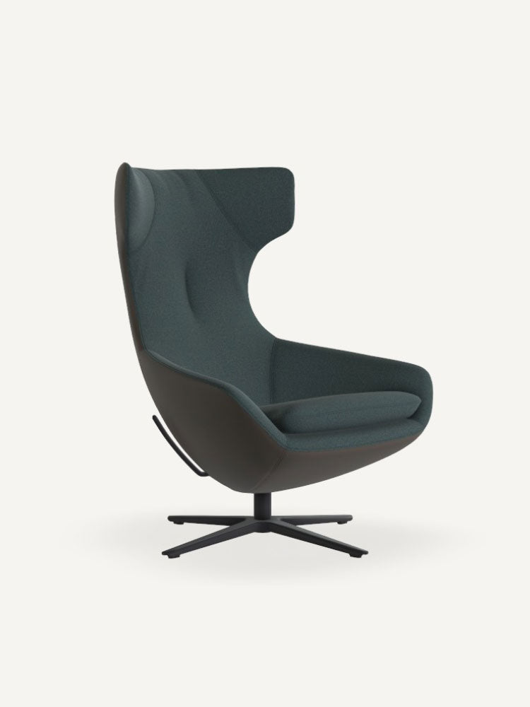 Caruzzo Combi Armchair | Leolux | Catalog Interiors 