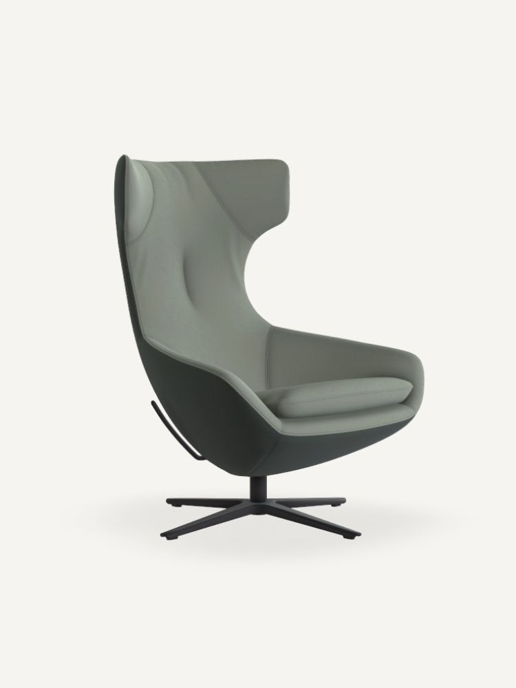 Caruzzo Combi Armchair | Leolux | Catalog Interiors 