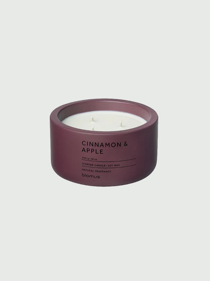 Cinnamon & Apple Candle