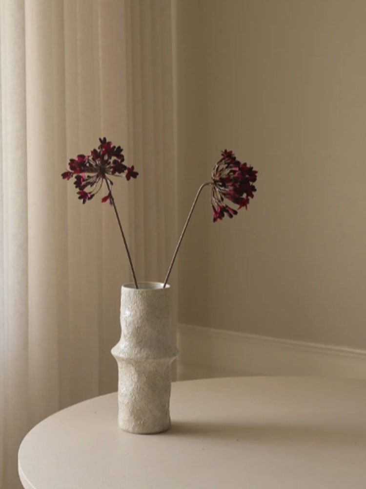 Dark Red Agapanthus Flower