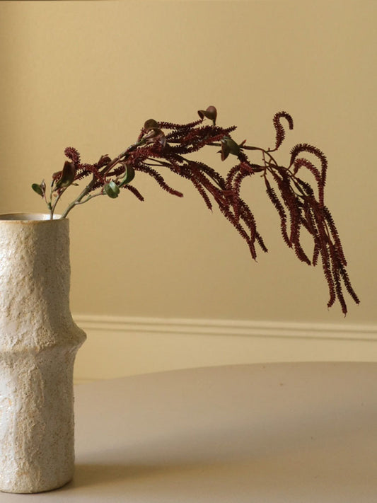 Dark Red Amaranthus Cruentus Flower | Botane | Catalog Interiors 