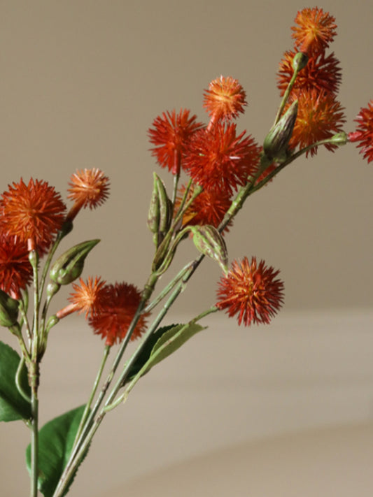 Dark Orange Echinops Ritro Thistle Ball | Botane | Catalog Interiors 