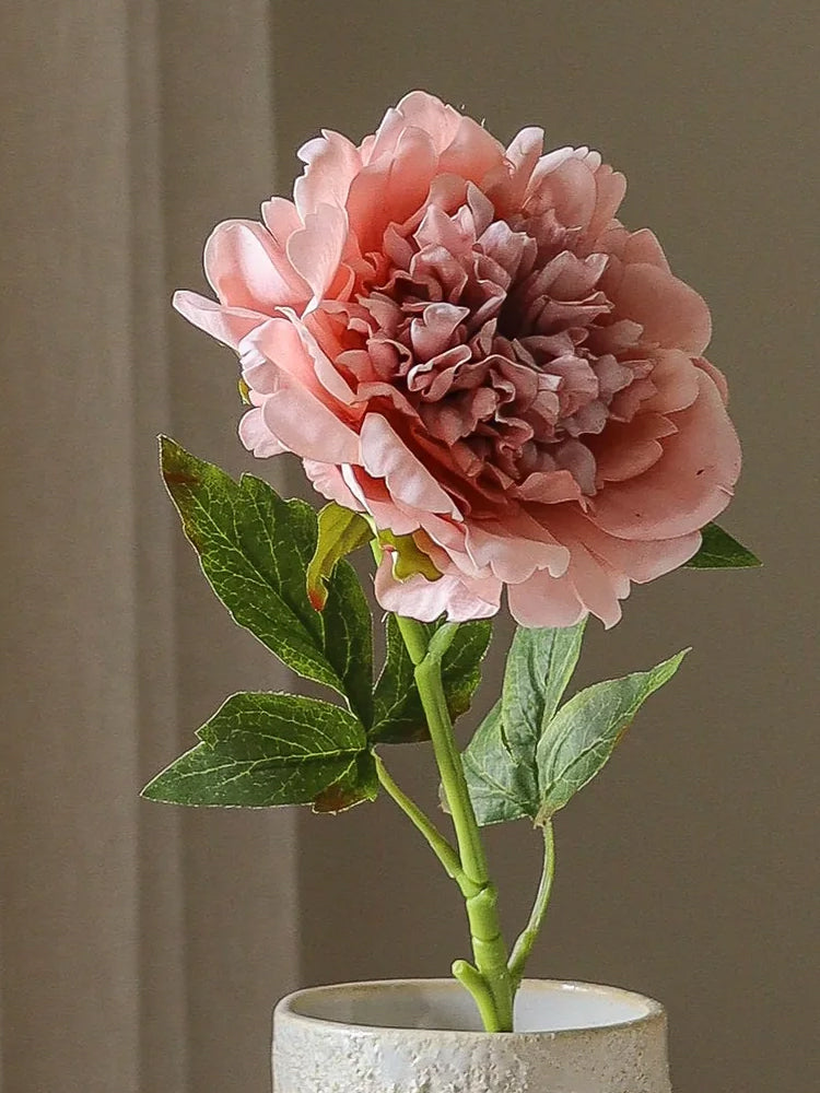 Dusty Pink Peony Flower | Botane | Catalog Interiors UK